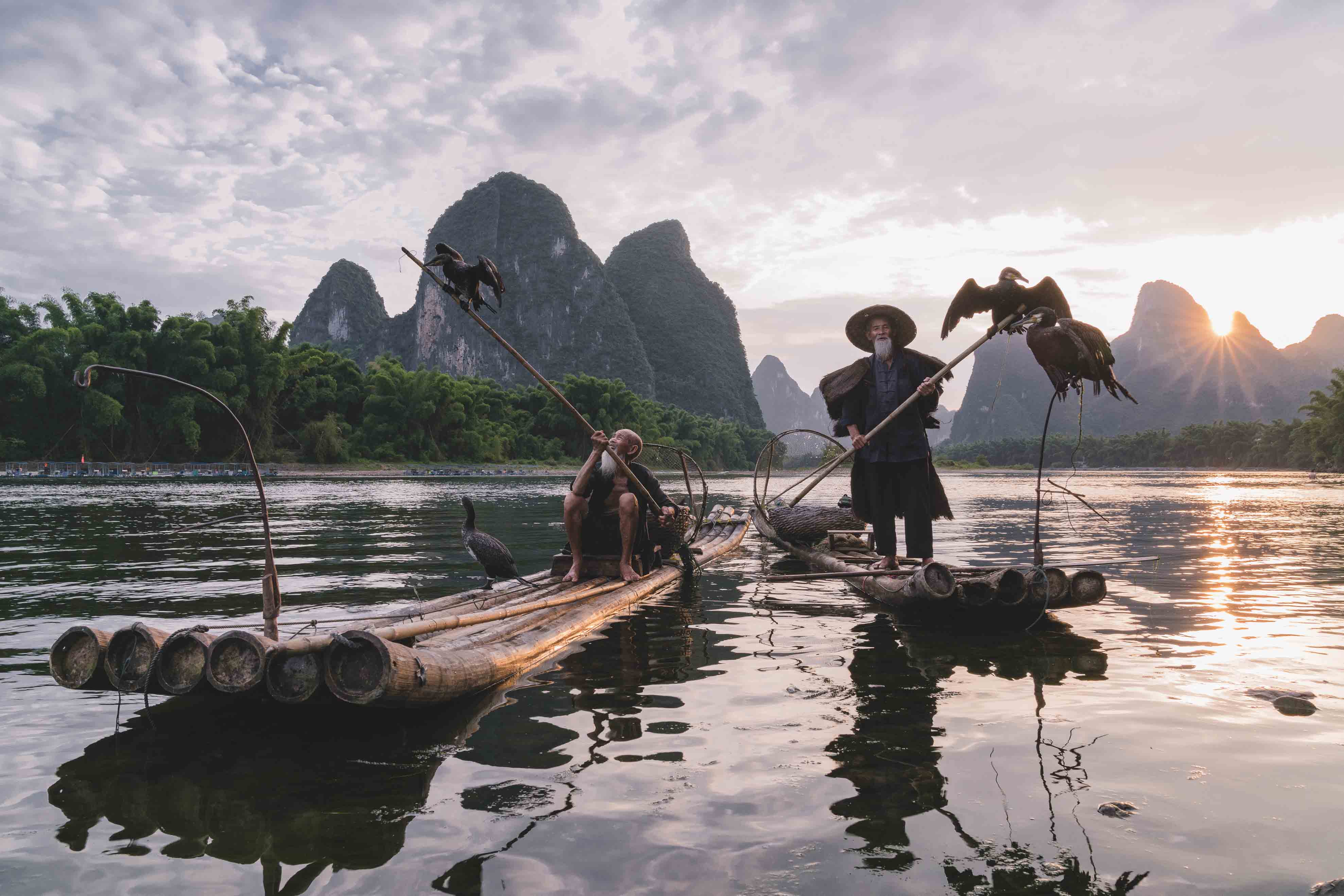Portrait and wildlife imagery from Derrick Choi's Life photography collection