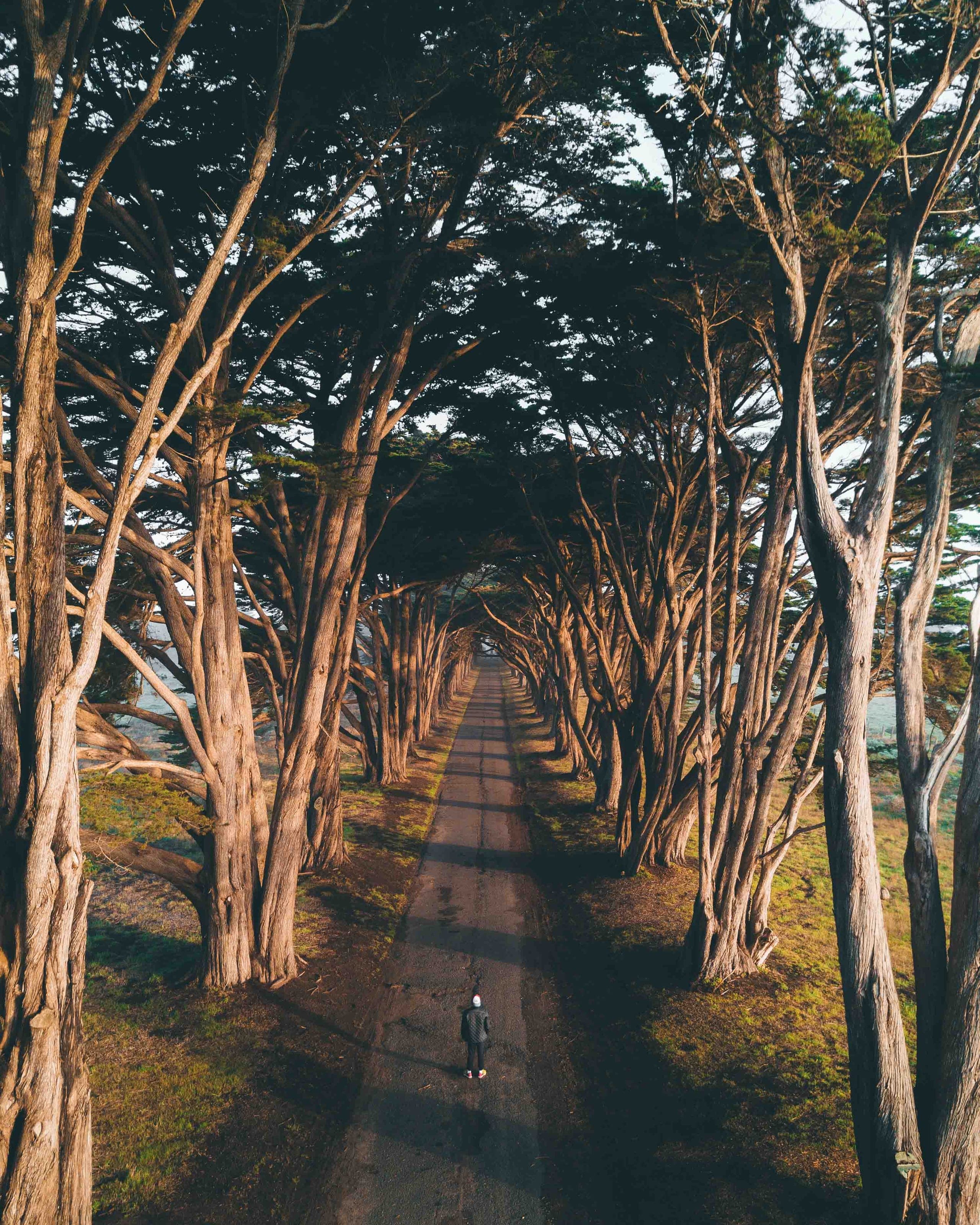Aerial photograph by Derrick Choi