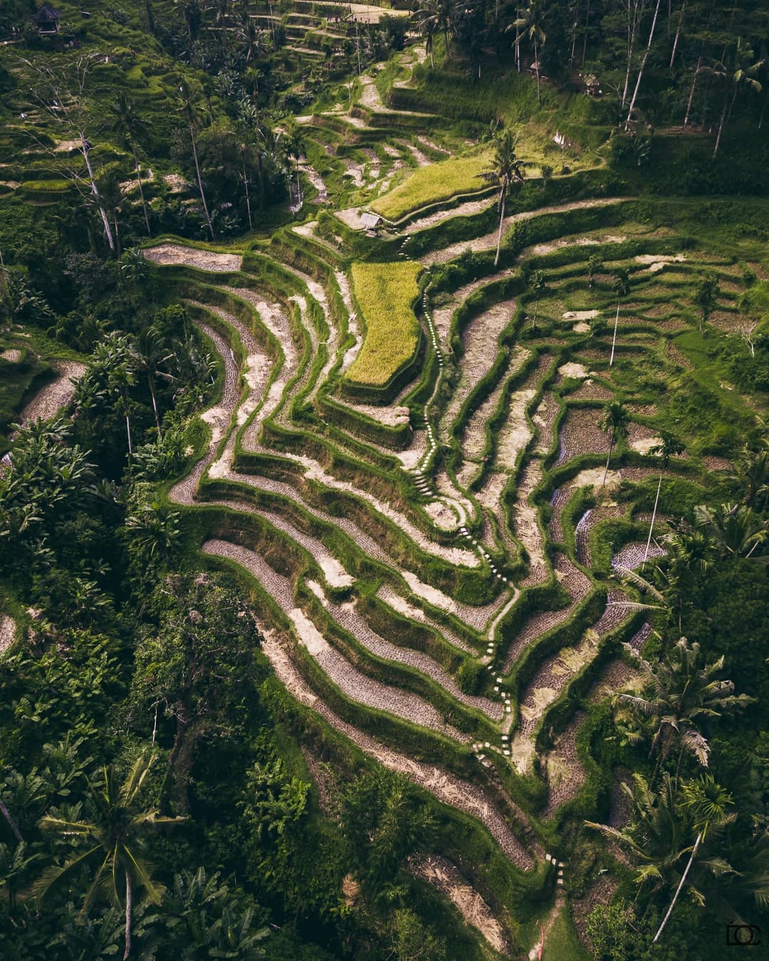 Aerial photograph: Asian Tour