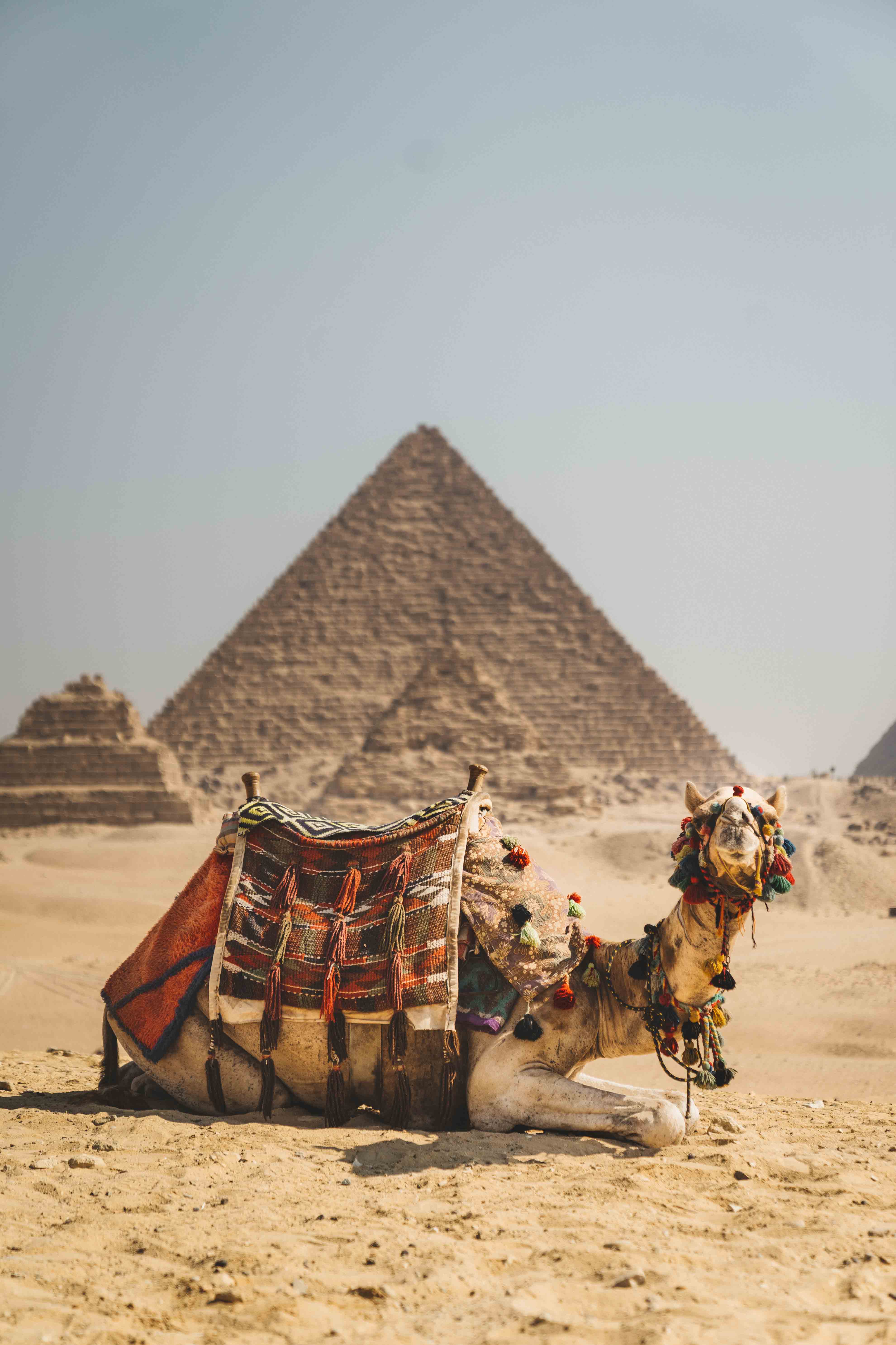 Life photograph: Pyramids