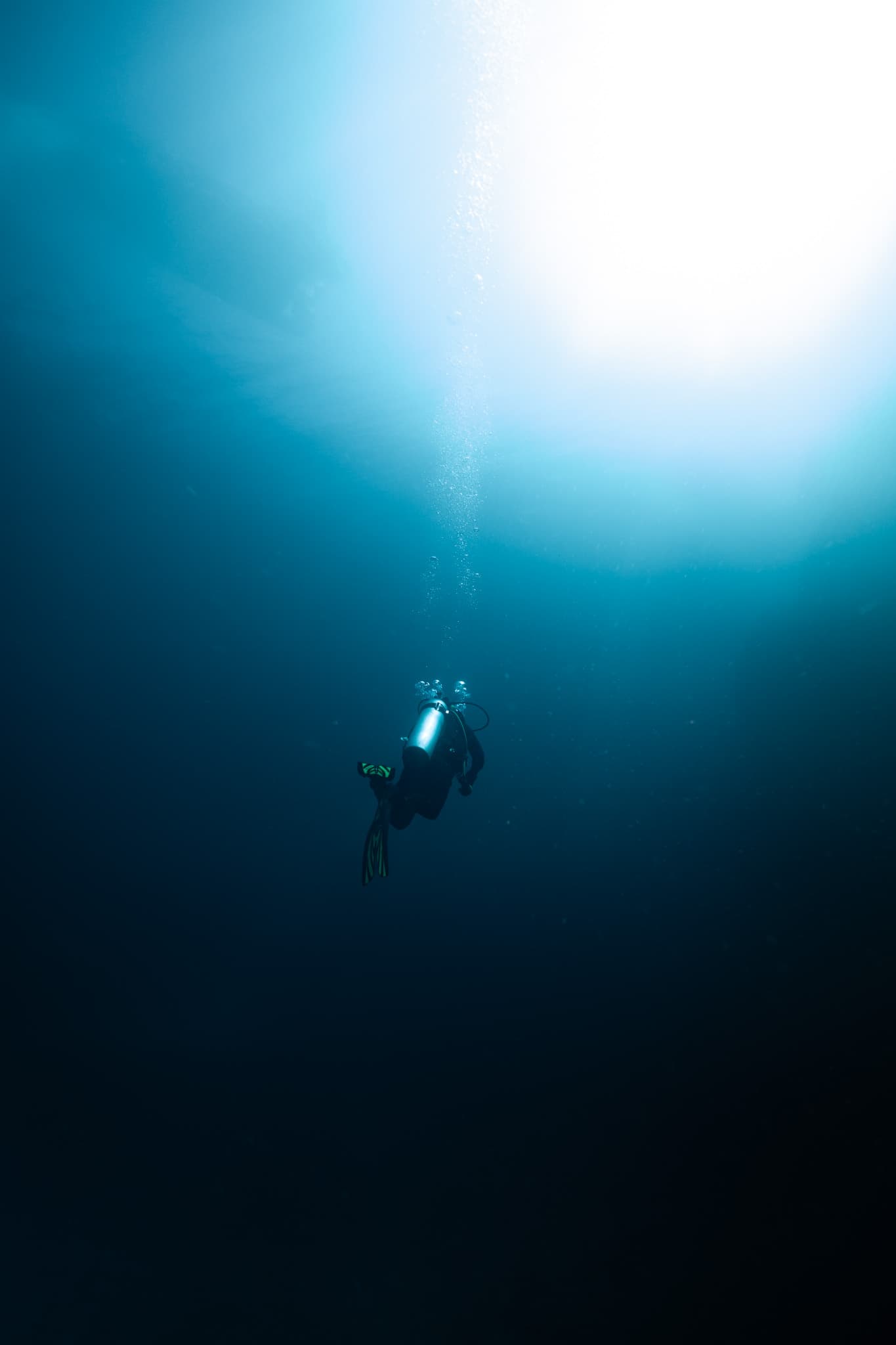 Underwater photograph: Galapagos