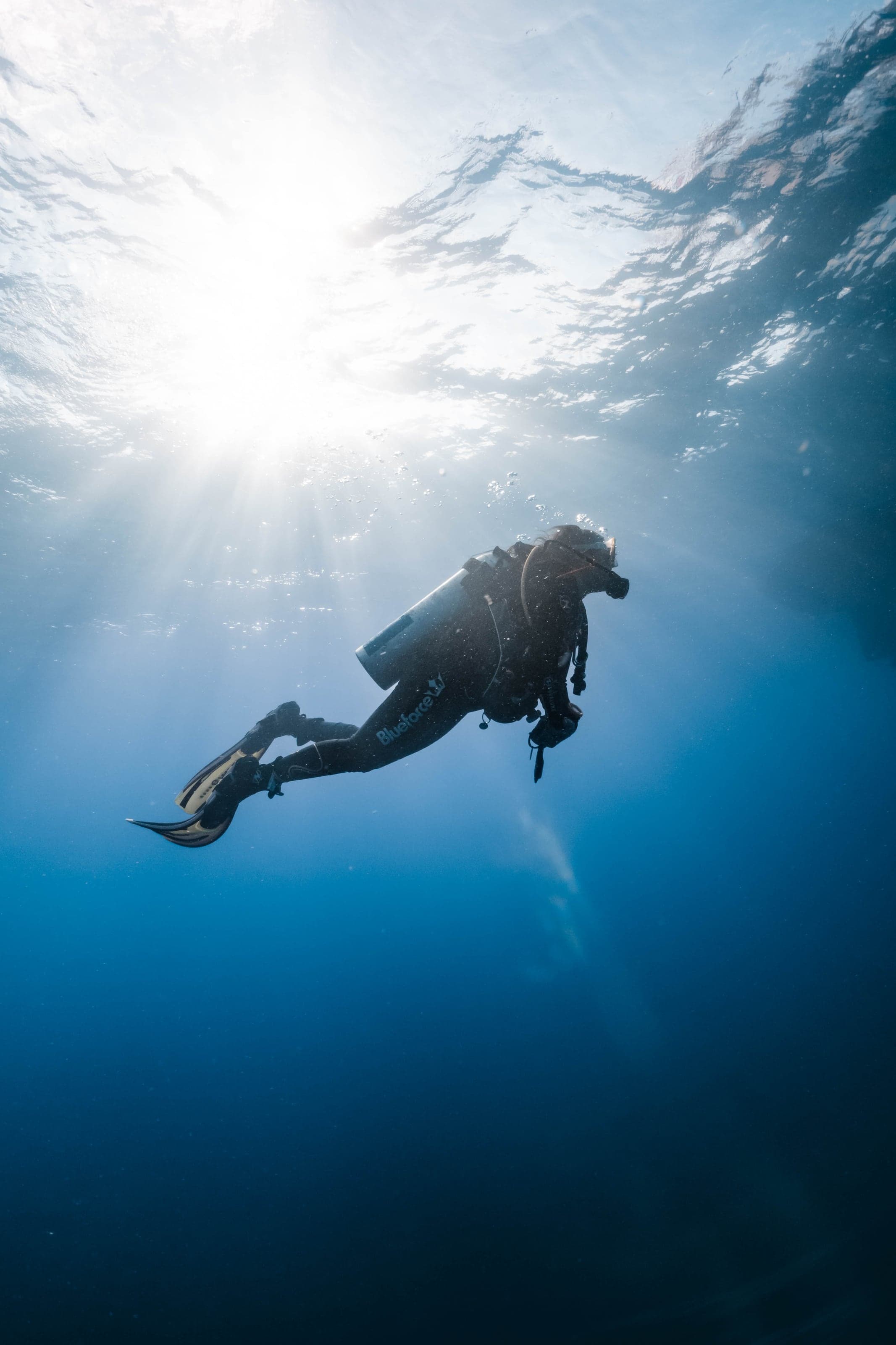 Underwater photograph: Scuba